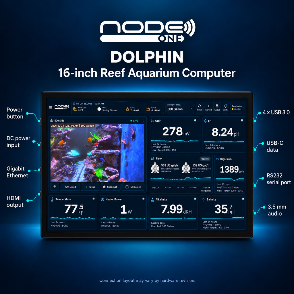 Node ONE Dolphin