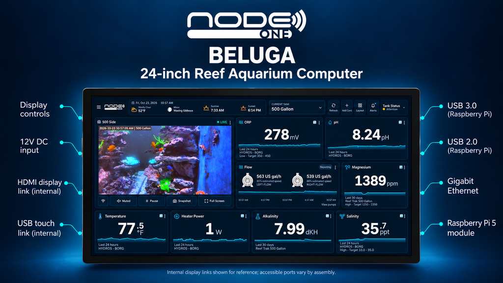 Node ONE Beluga