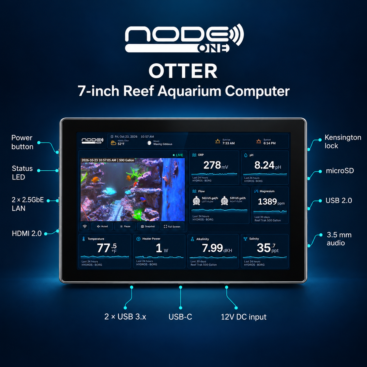 Node ONE Otter